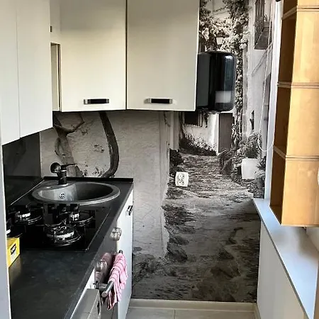 Krasnala Ksieze Male * ヴロツワフ