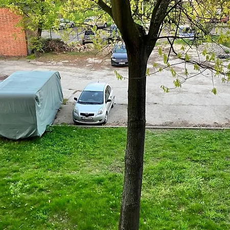 Ksieze Male *